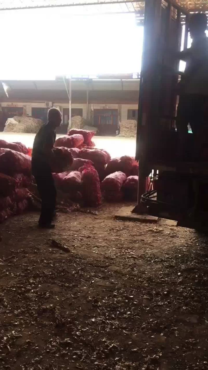 蒜种继续发车🀄️，需要蒜种的联系了