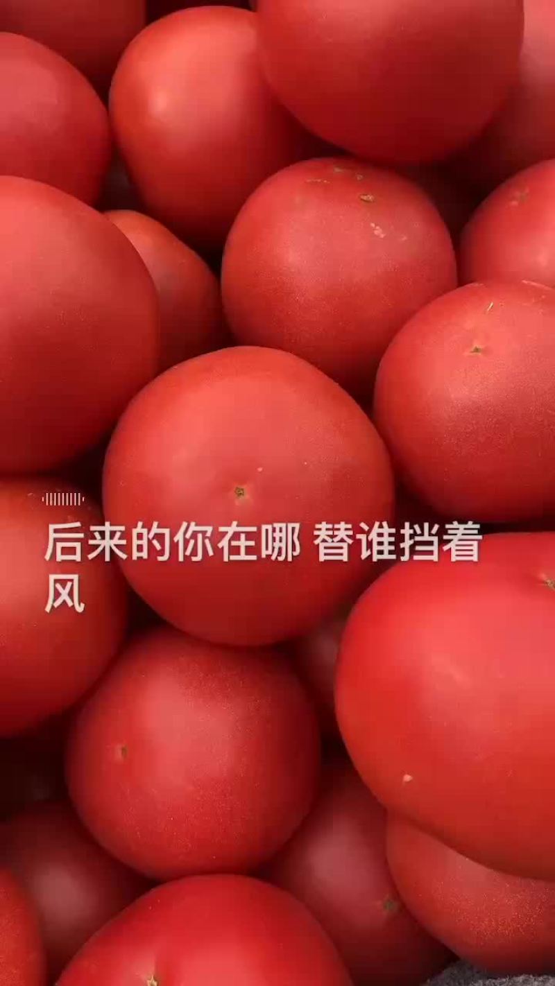 大量现货