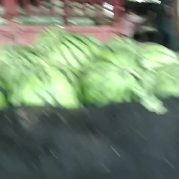 美都西瓜