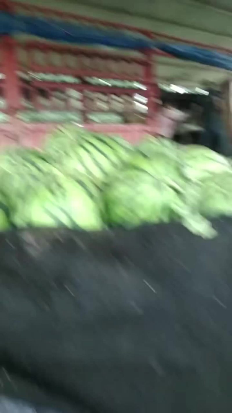 美都西瓜
