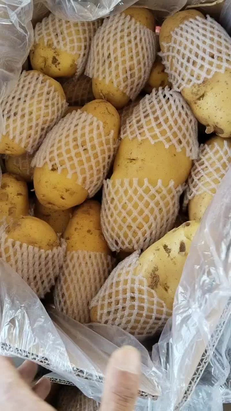 土豆