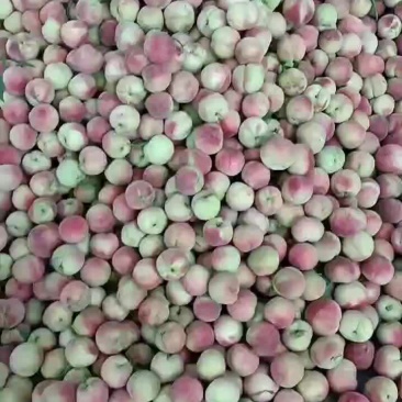 大量