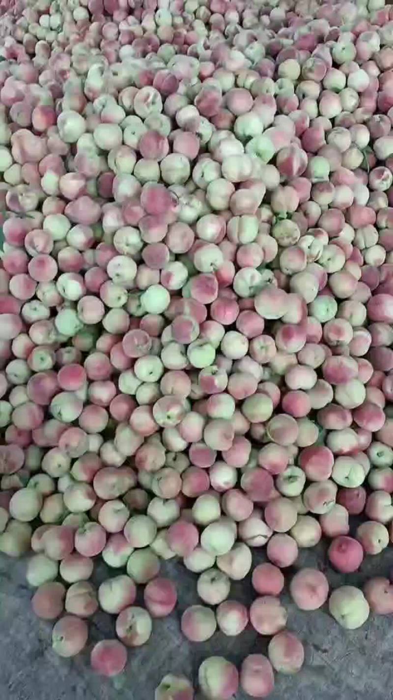大量