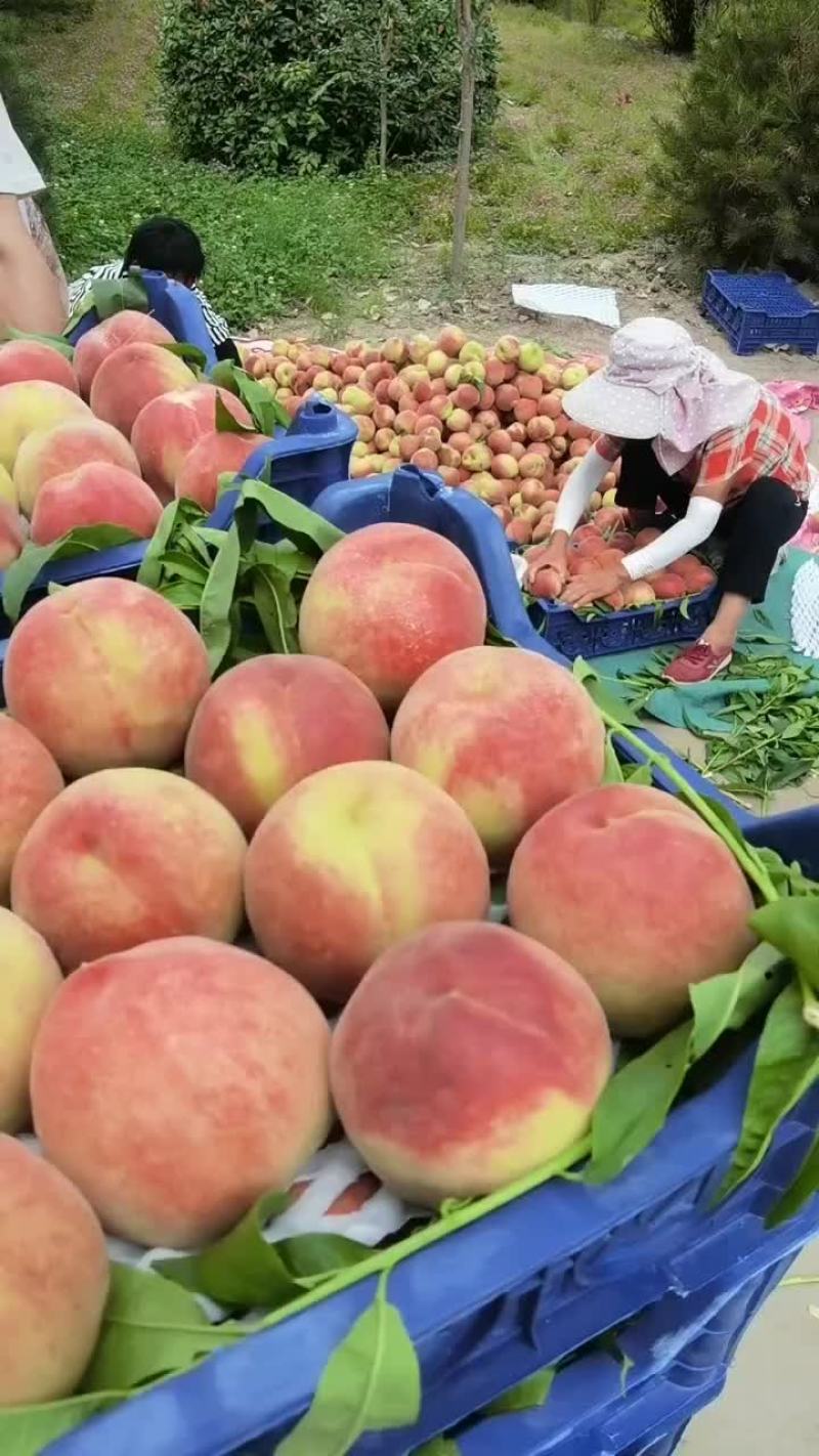 大量
