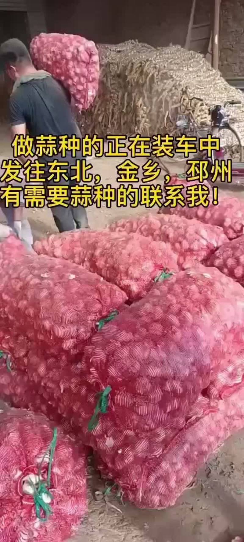 需要的联系个大，皮紫，辫好