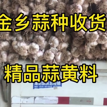 需要的联系个大，皮紫，辫好