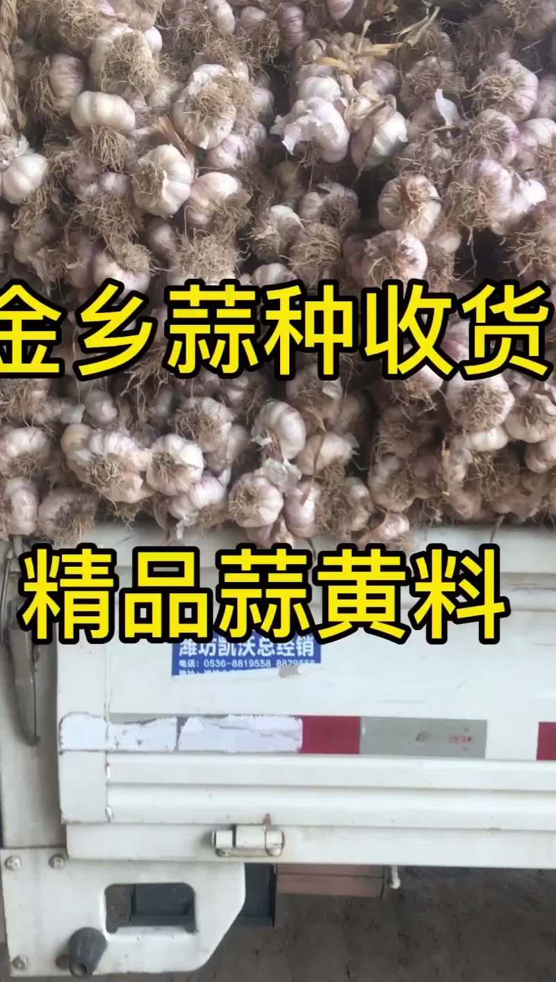 需要的联系个大，皮紫，辫好