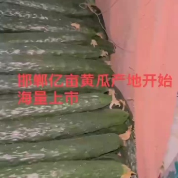 大量上市