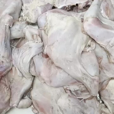 小羊腿大量批发