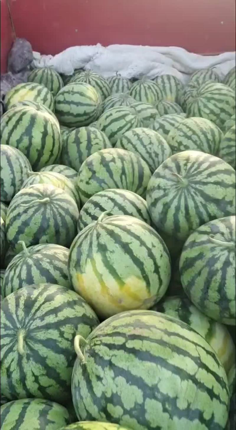 有子美都