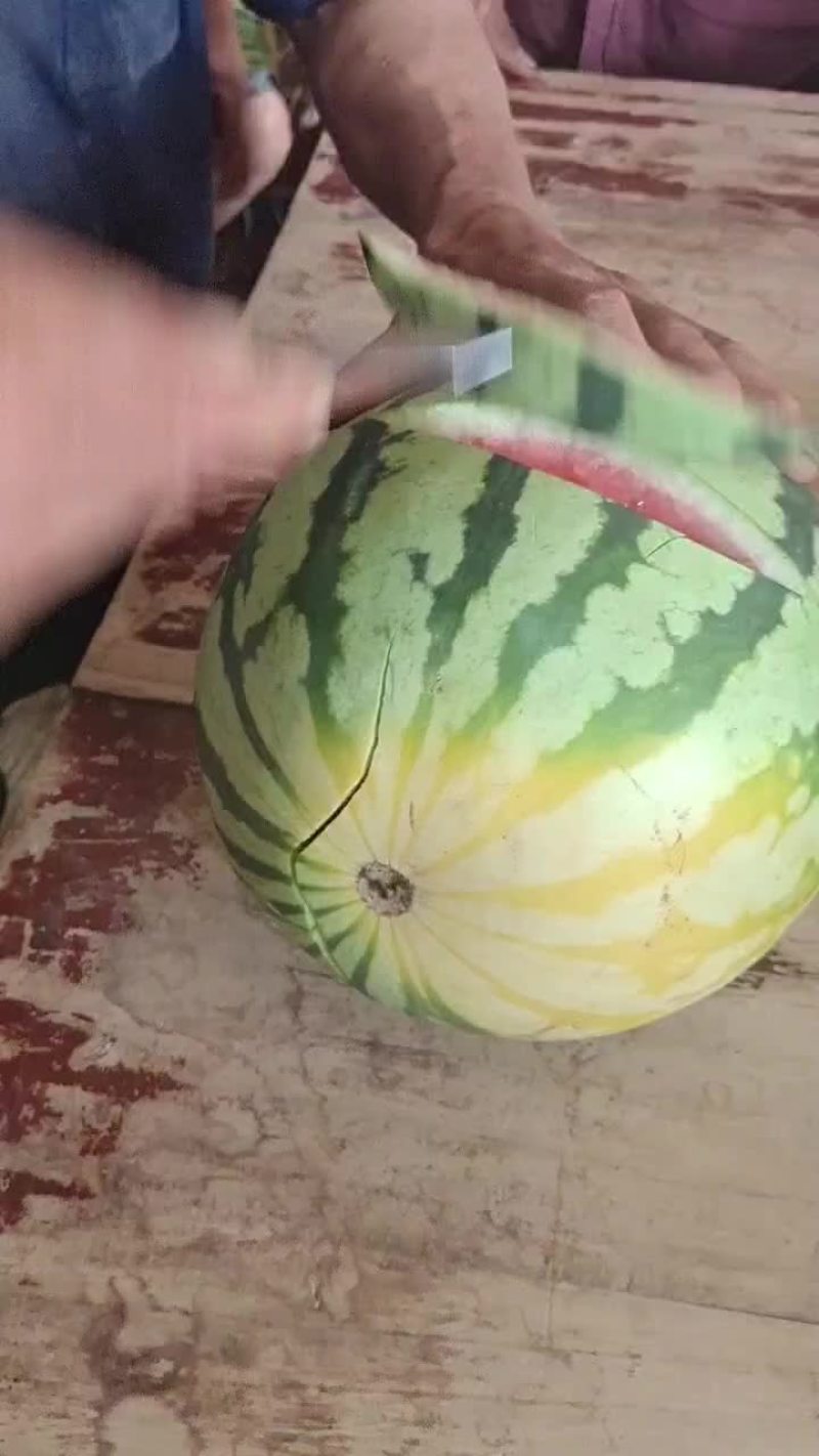 有子美都