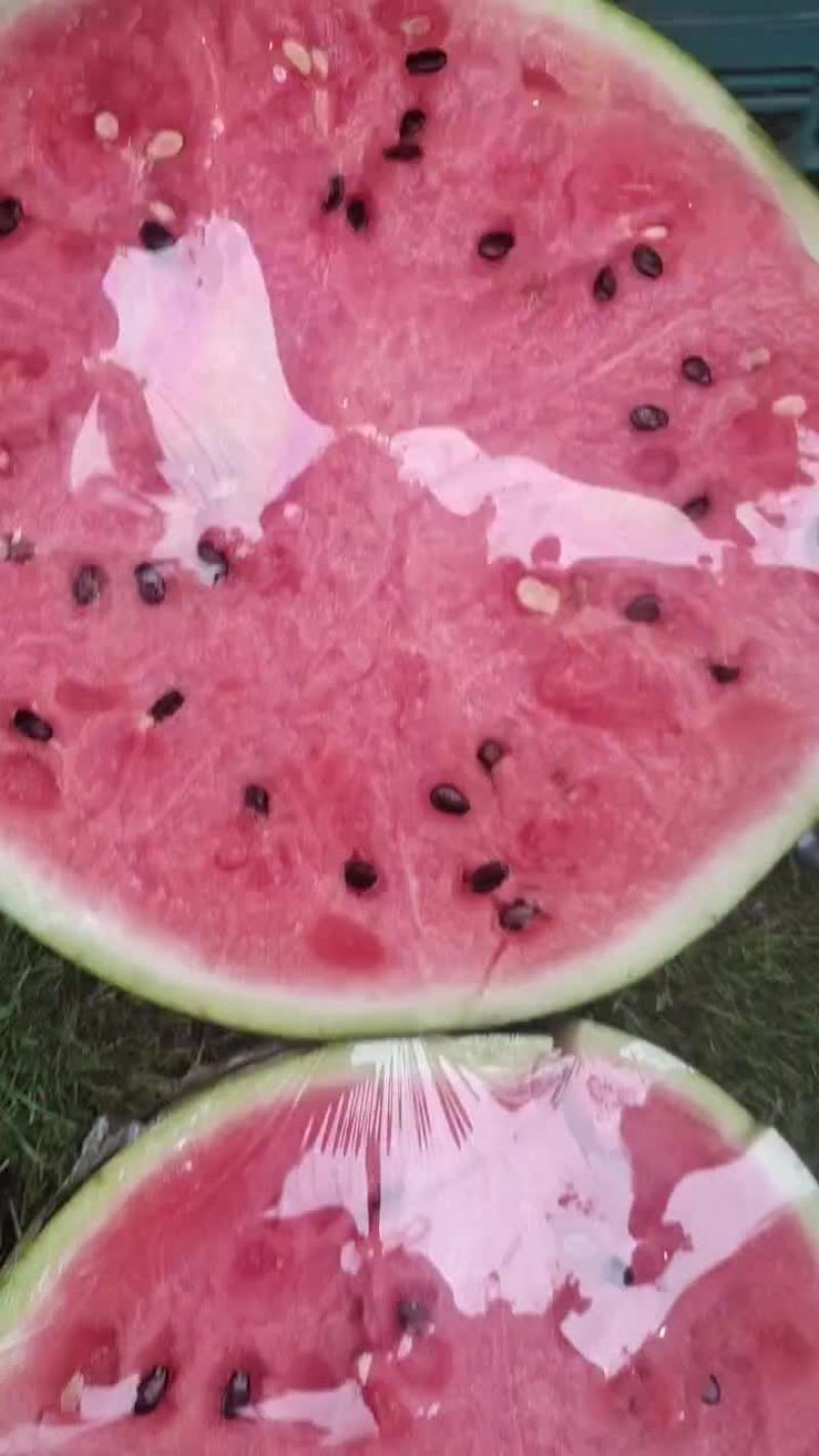 有子美都