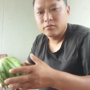 礼品小西瓜大量有货