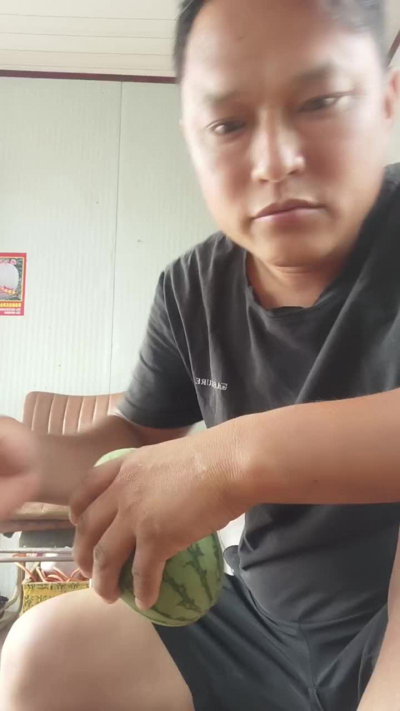 礼品小西瓜大量有货