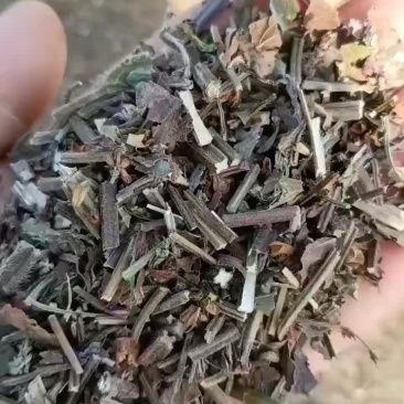 石见穿