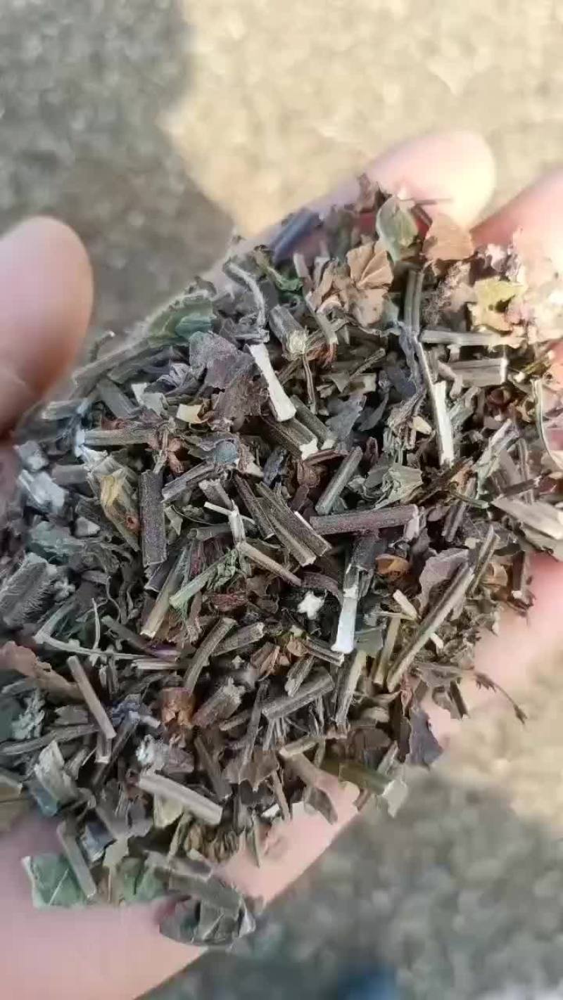 石见穿