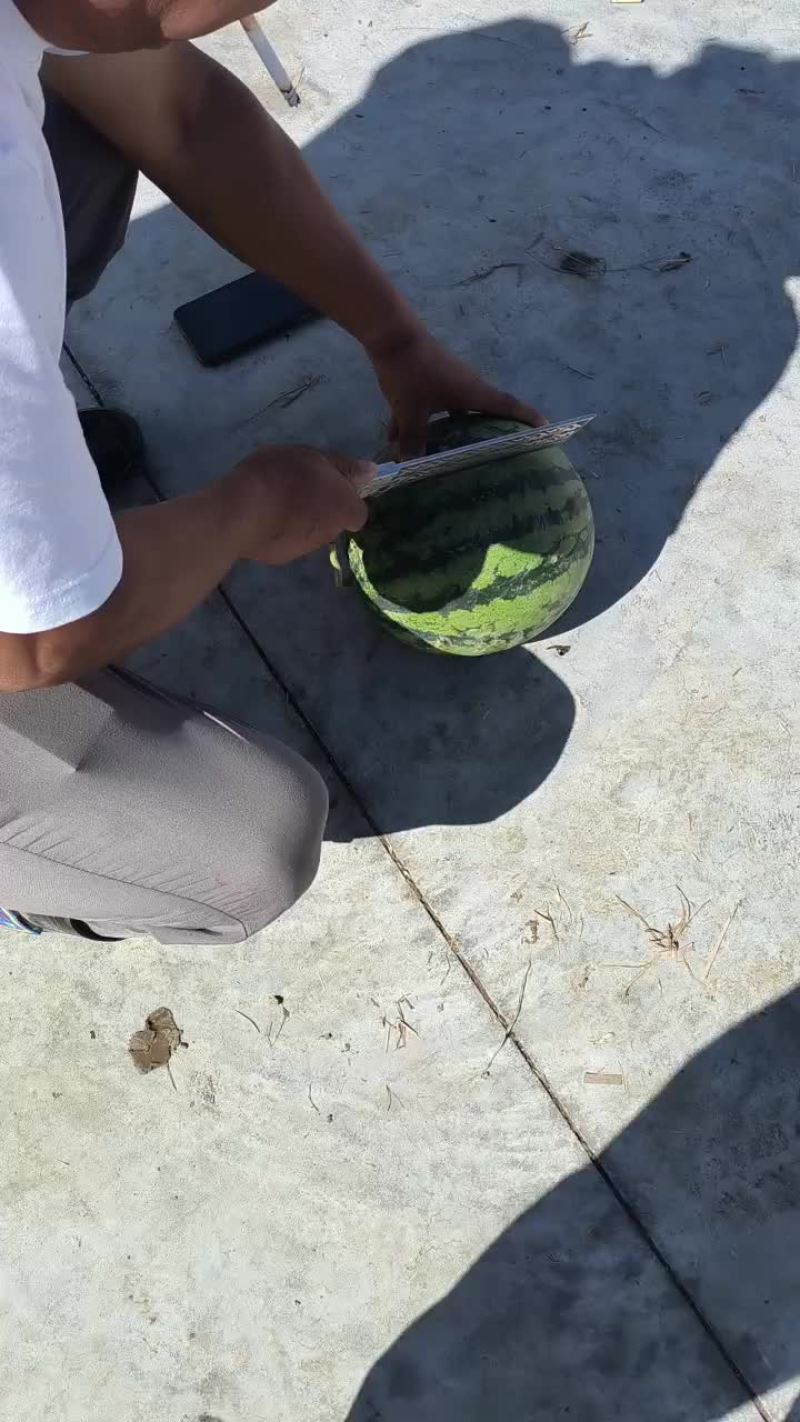 漂亮的京城五号与美丽的美都