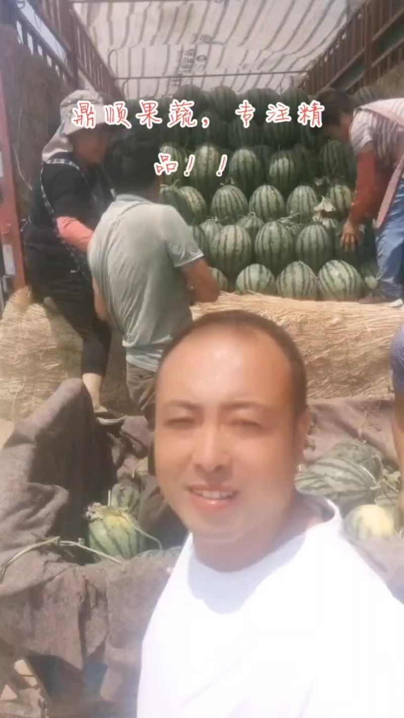 山东潍坊安丘供应优质甜王京欣西瓜