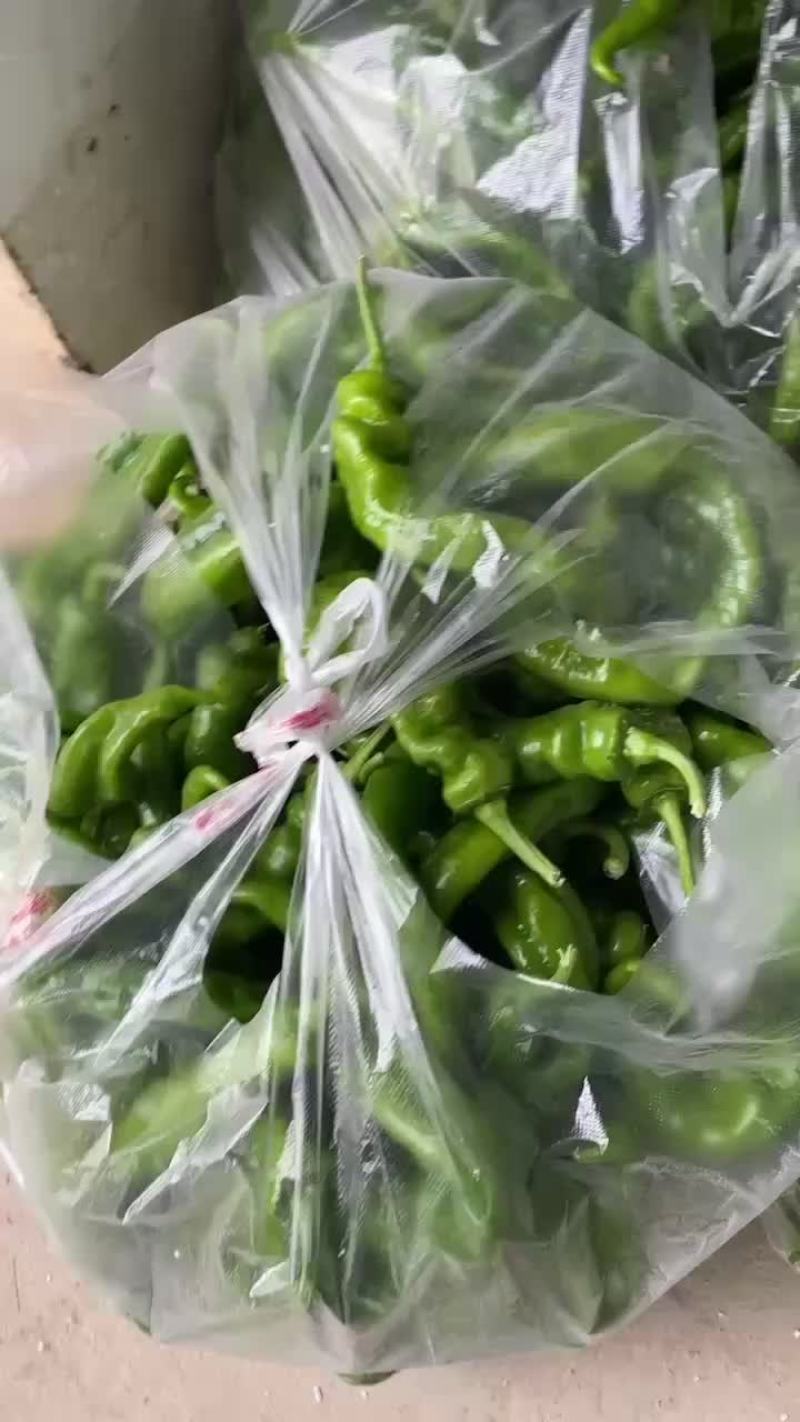 螺丝椒通货