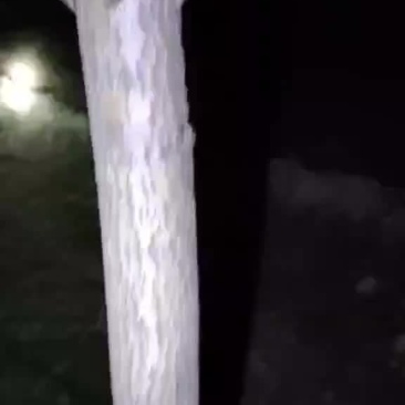 金婵大量批发。