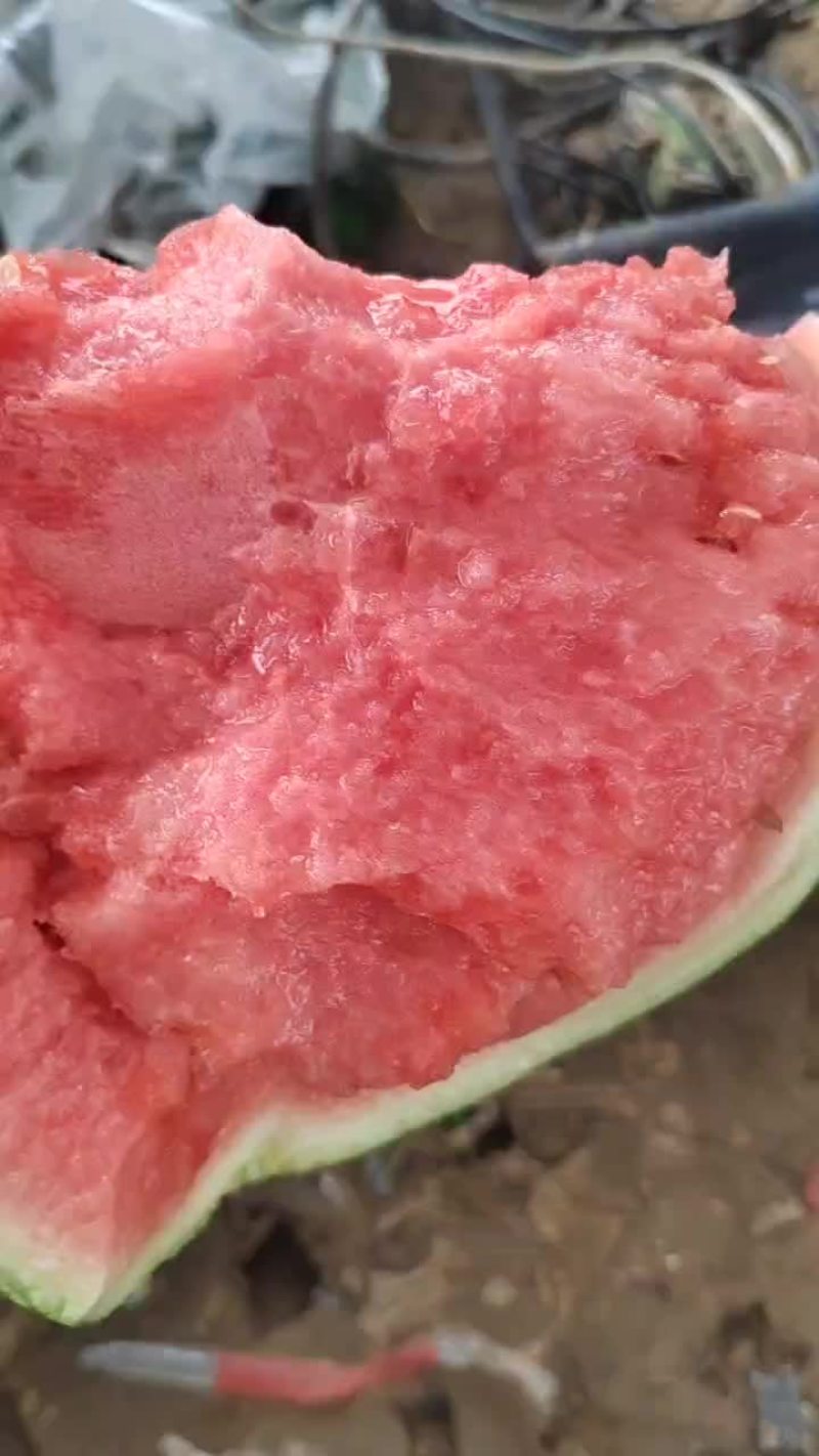 西瓜
