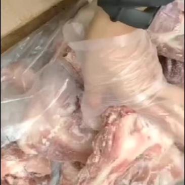 40%带肉前腿骨