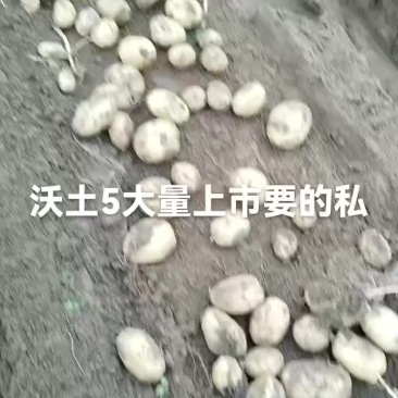 土豆有货要的联系