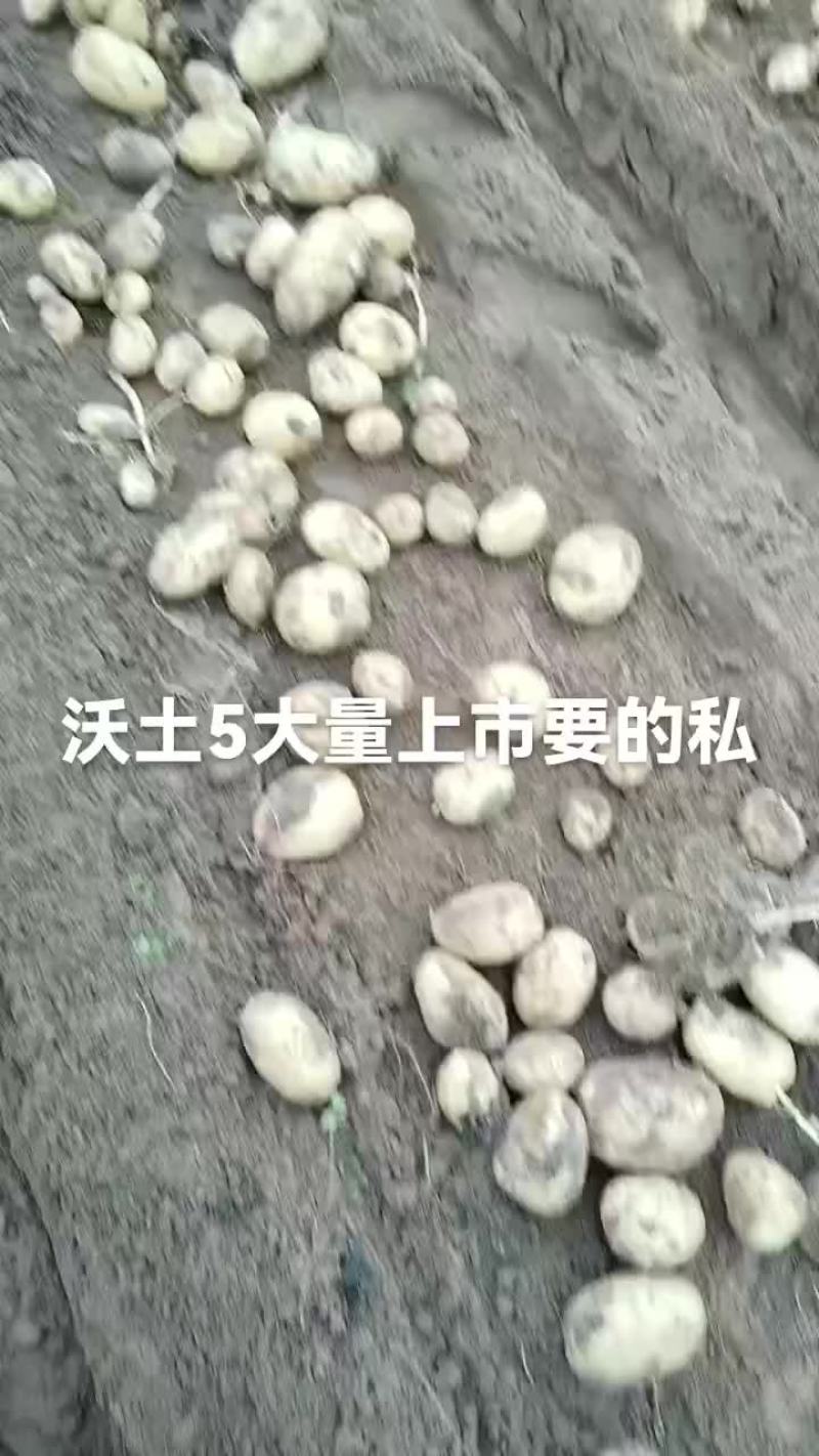 土豆有货要的联系