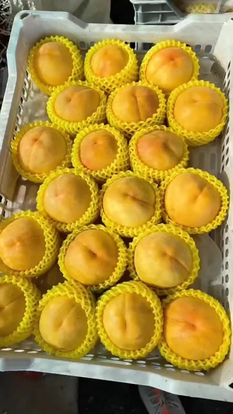 黄金蜜桃