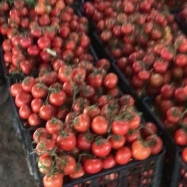 蔬菜代办