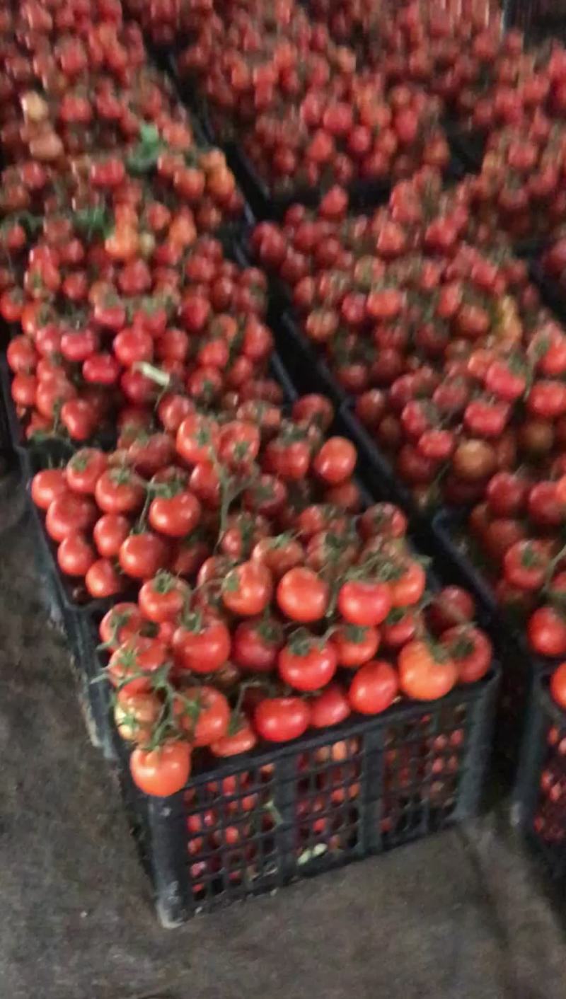 蔬菜代办