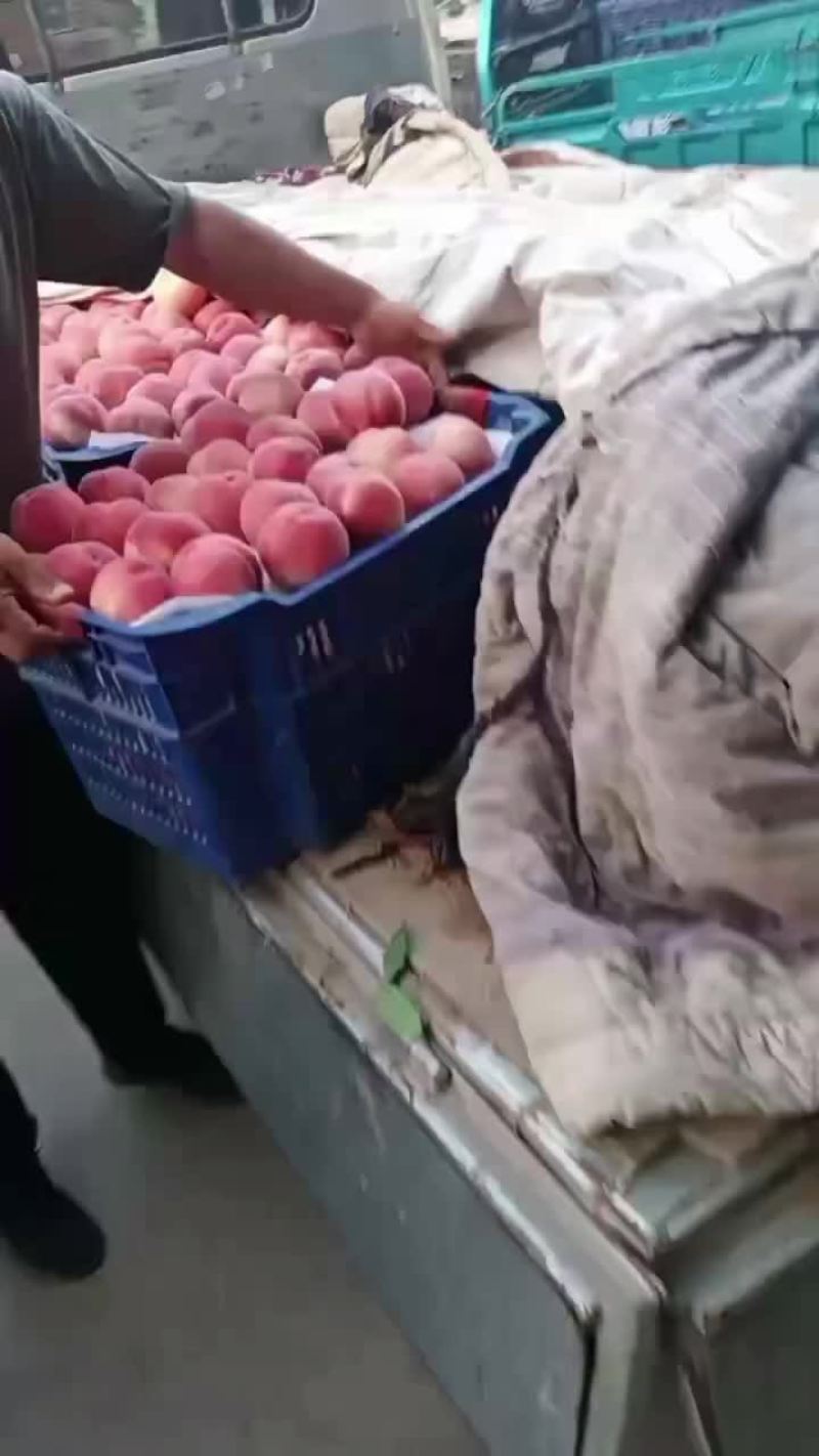 突围桃