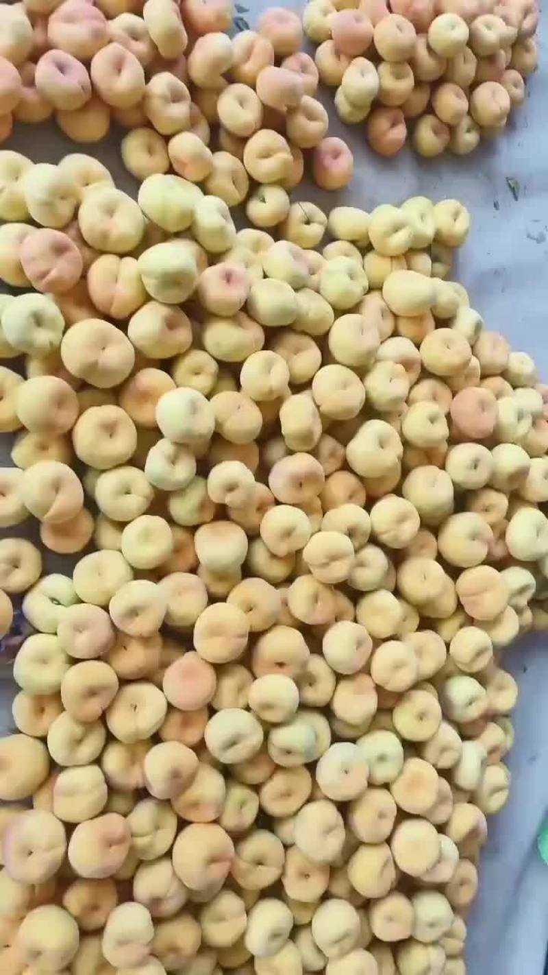 101