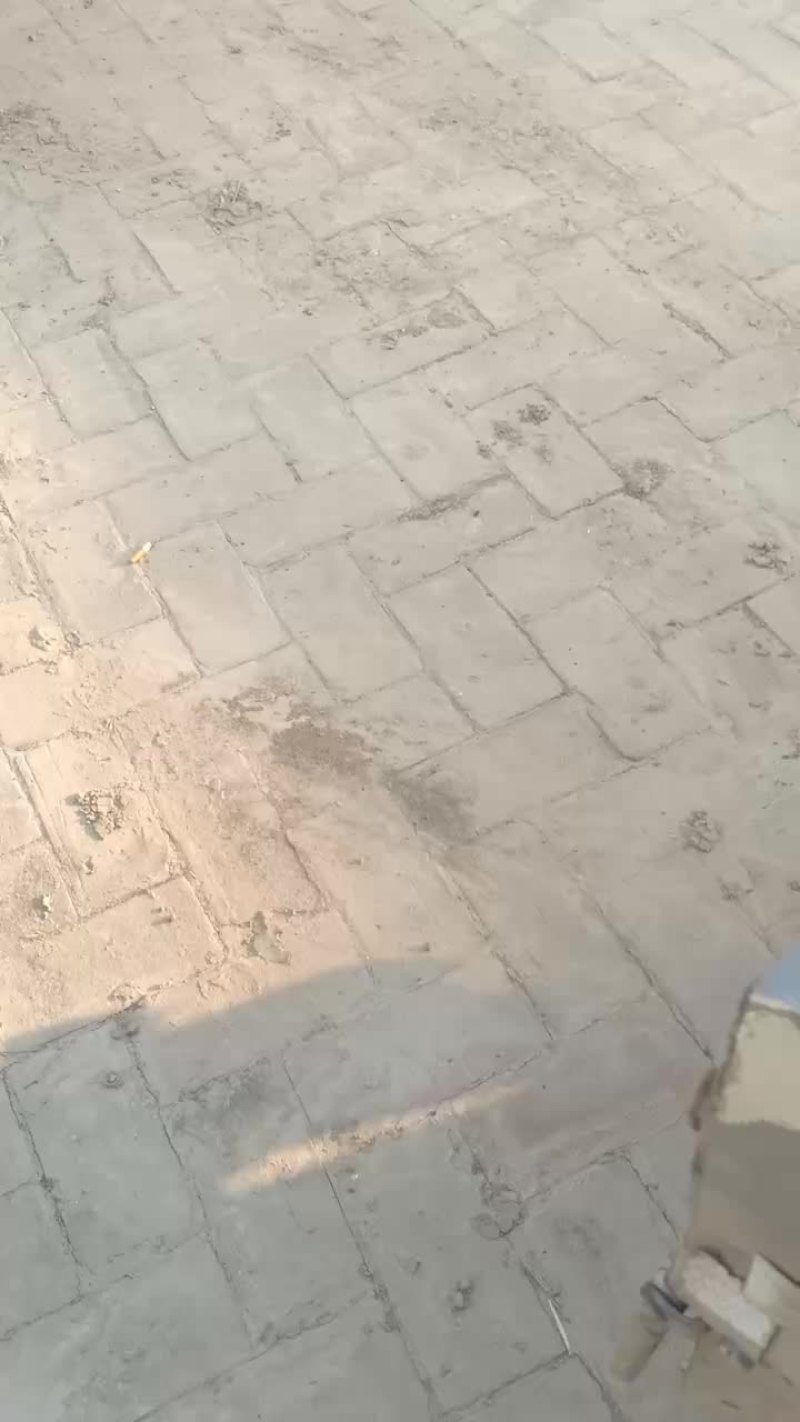 自己家种的久红瑞，玉姑头茬瓜，嘎嘎甜。赶集货7000斤