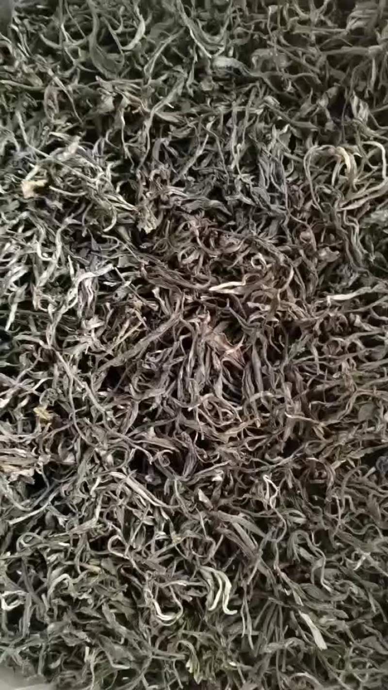 中缅边境古树茶