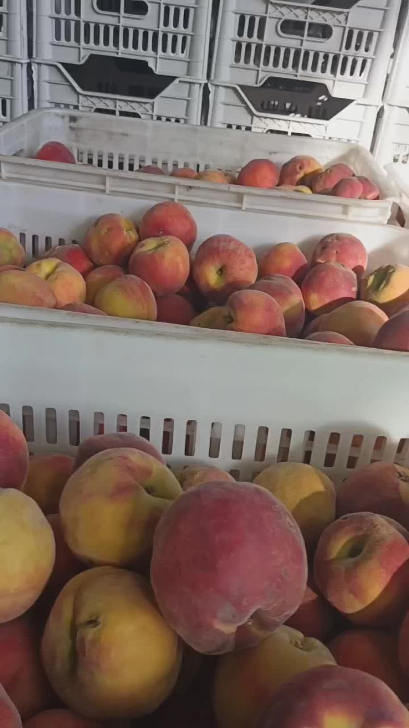 桃