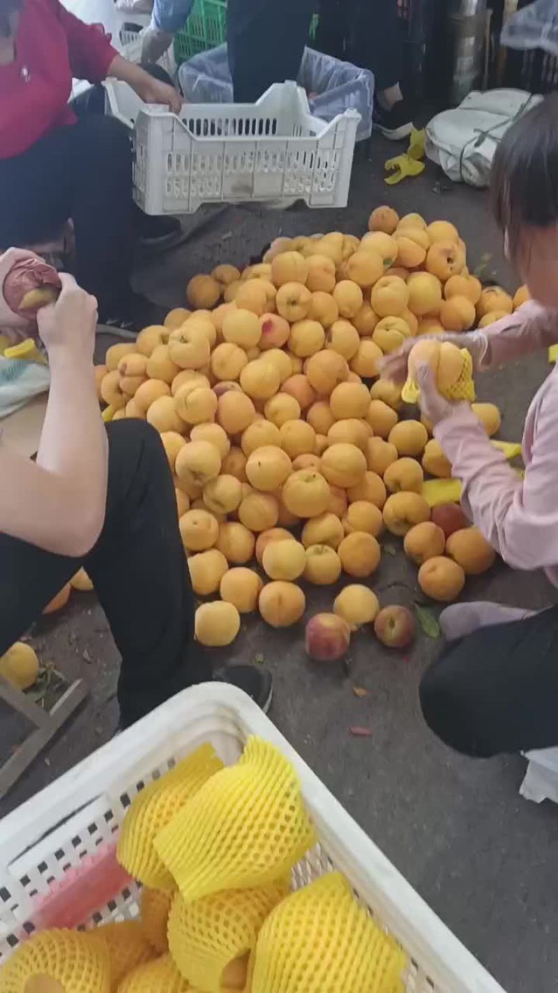 桃