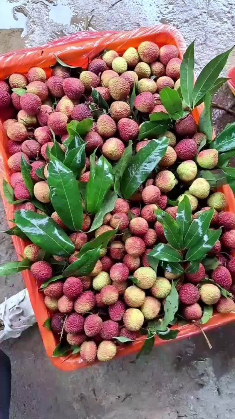 荔枝