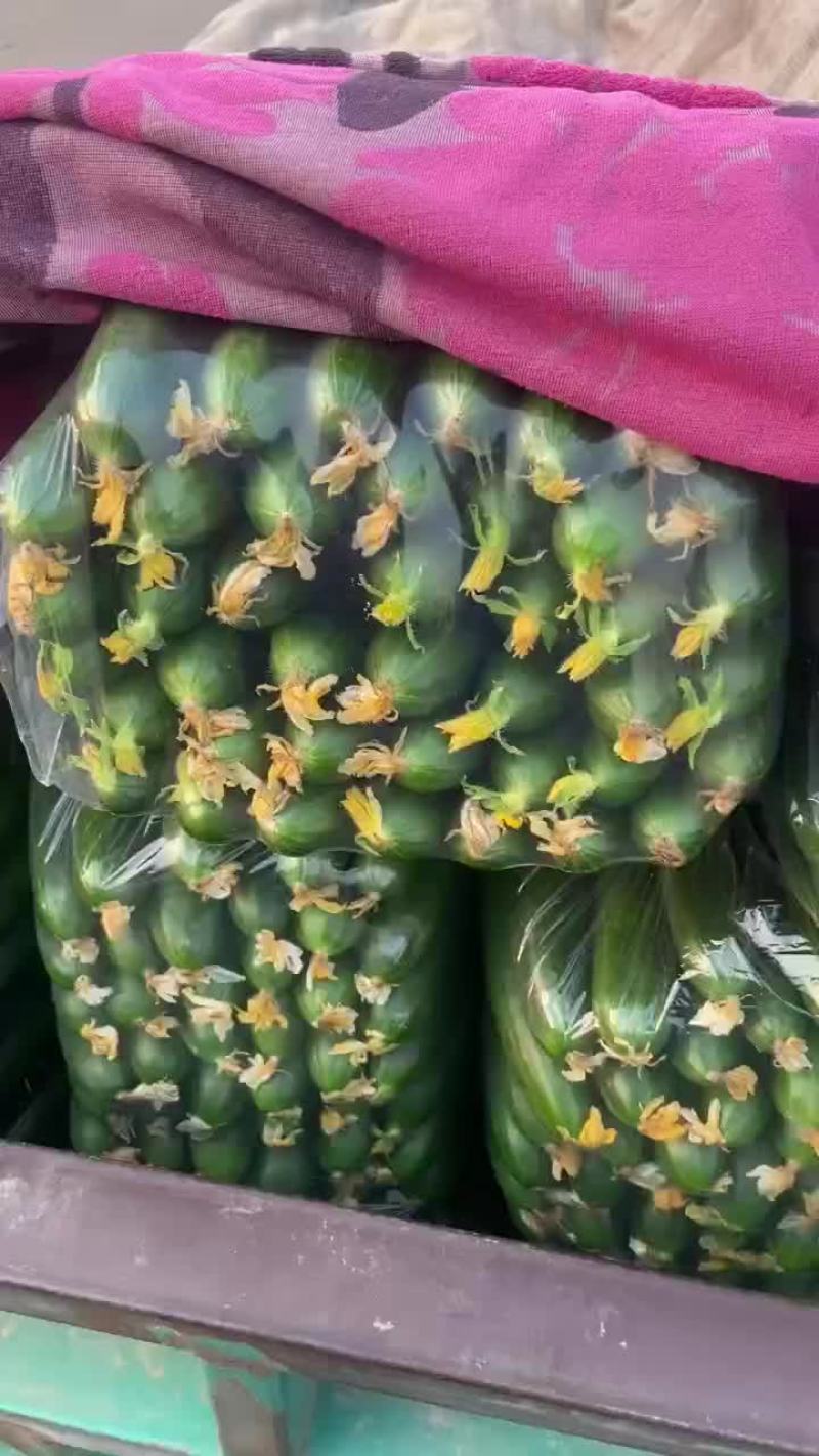 小黄瓜