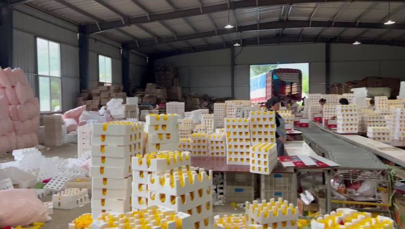 蜜桃一件代发！价格屠夫！品种齐全