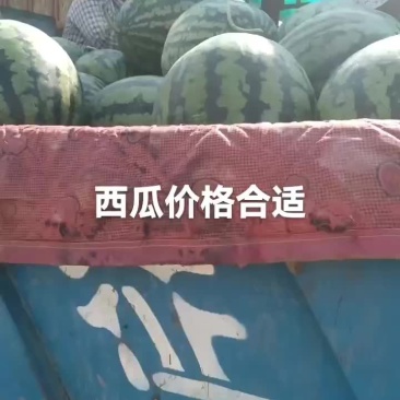 西瓜有货要的联系
