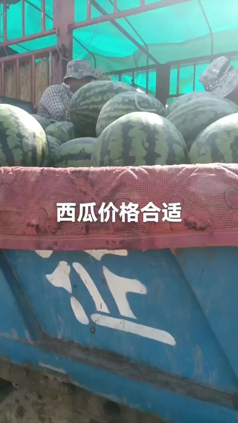 西瓜有货要的联系