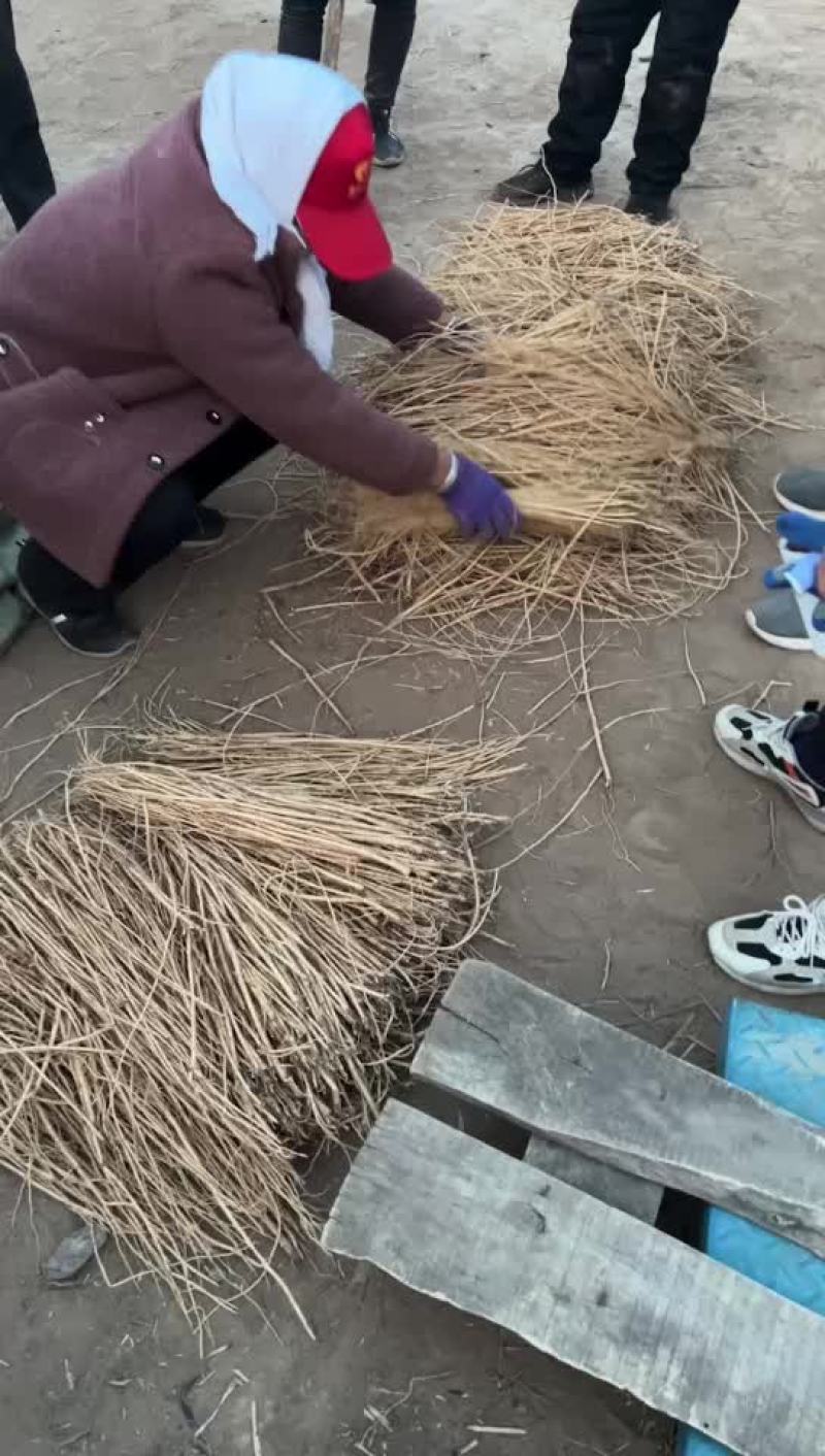 药材