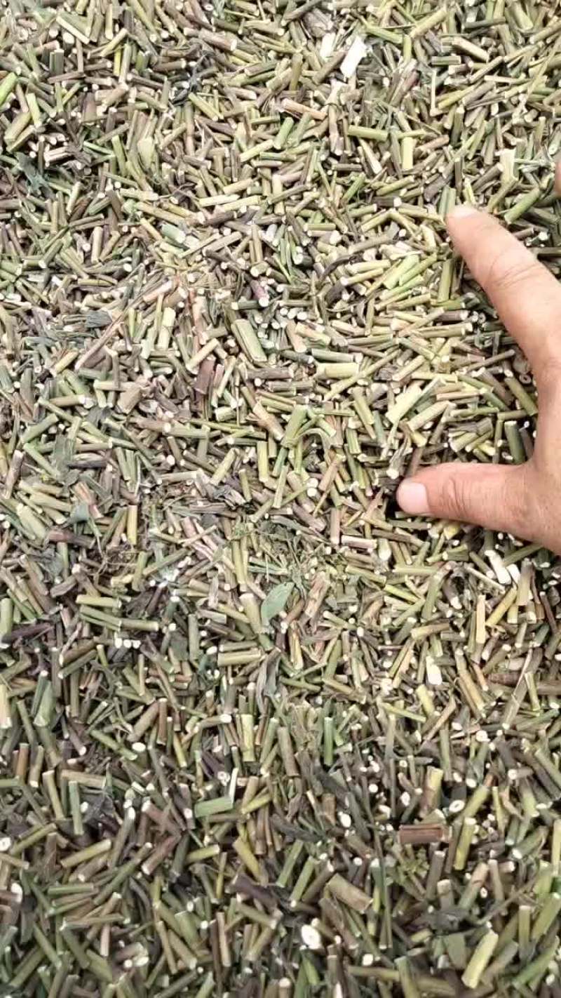 柴胡青苗杆子切段