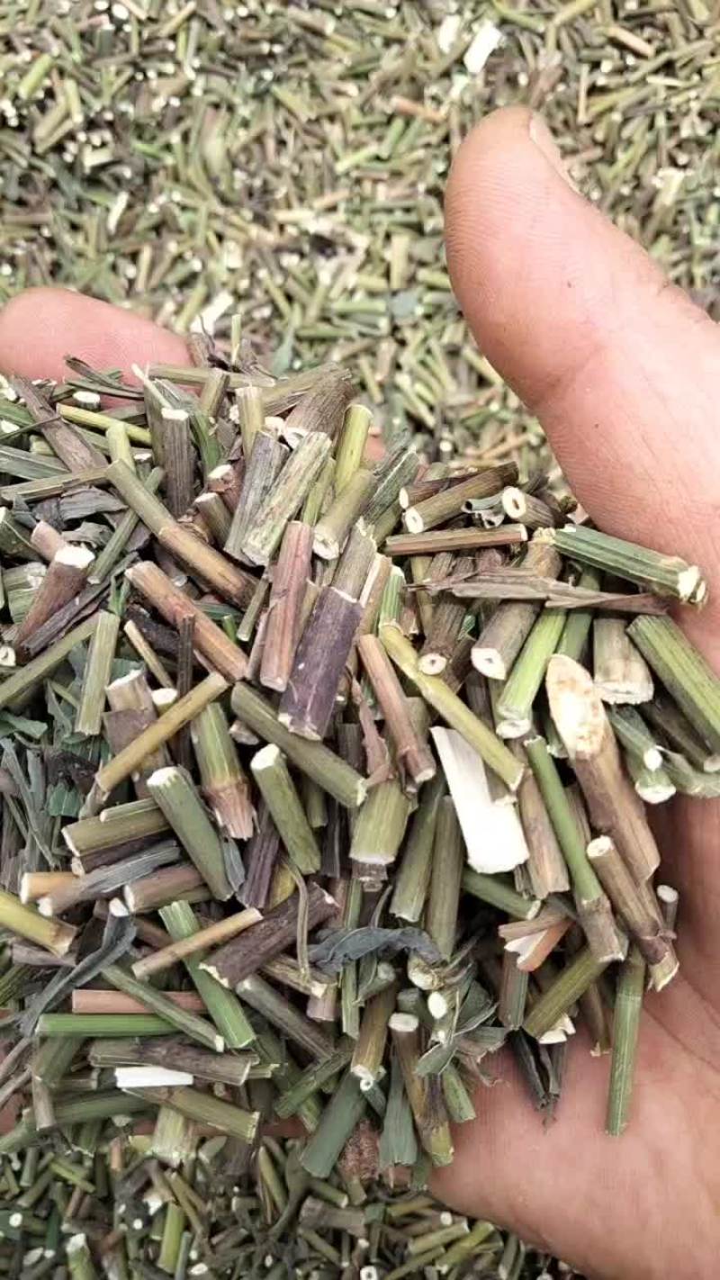 柴胡青苗杆子切段