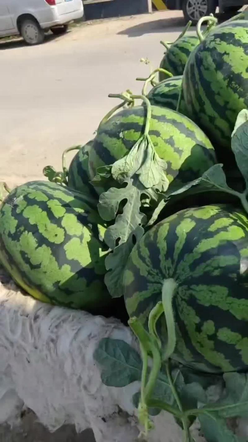 精品西瓜