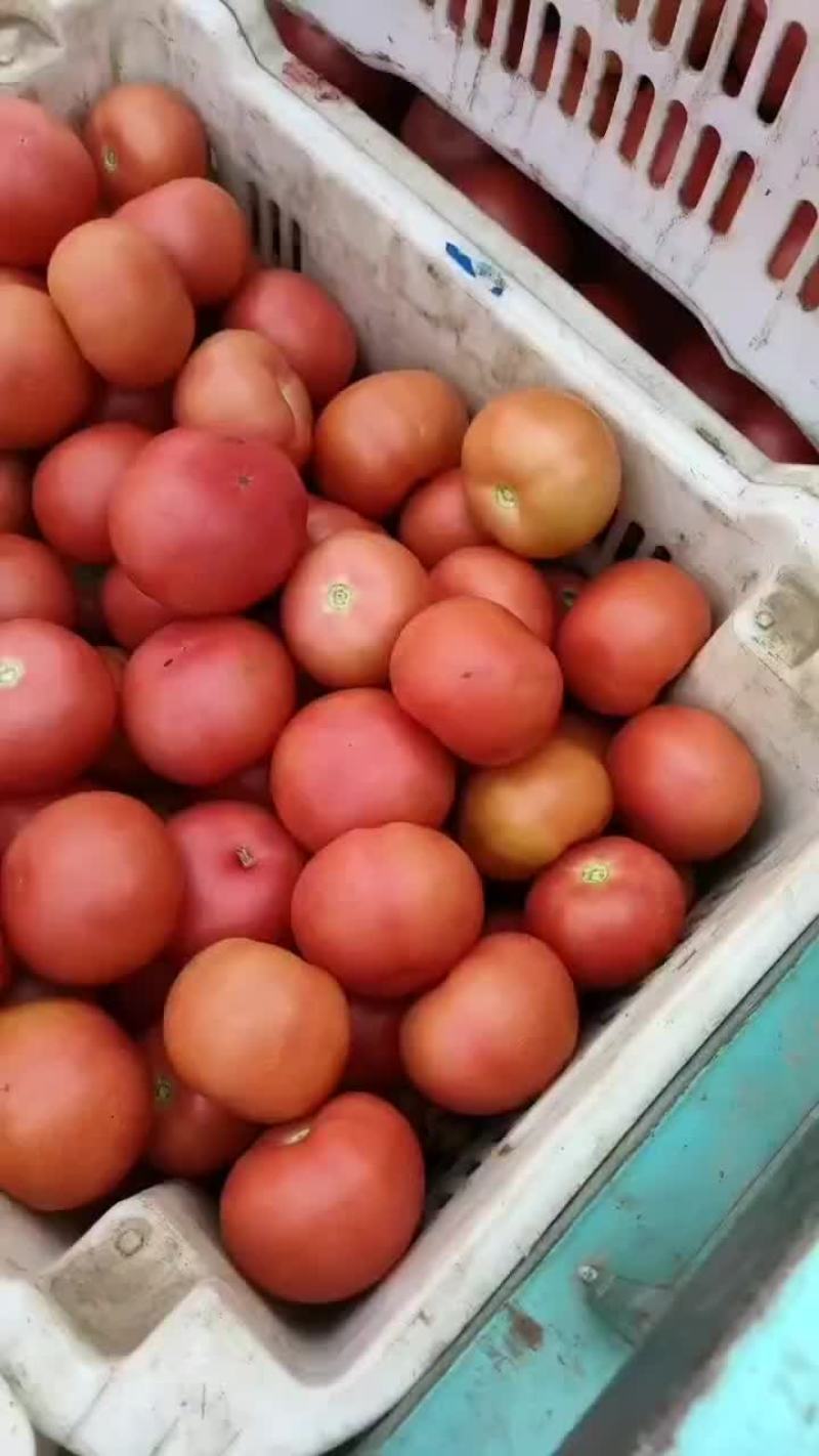 大量供应