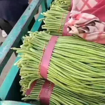 大量现货欢迎下单