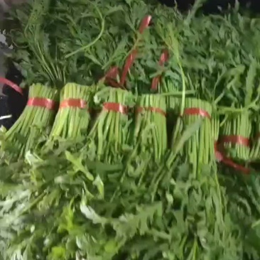 精品茼蒿