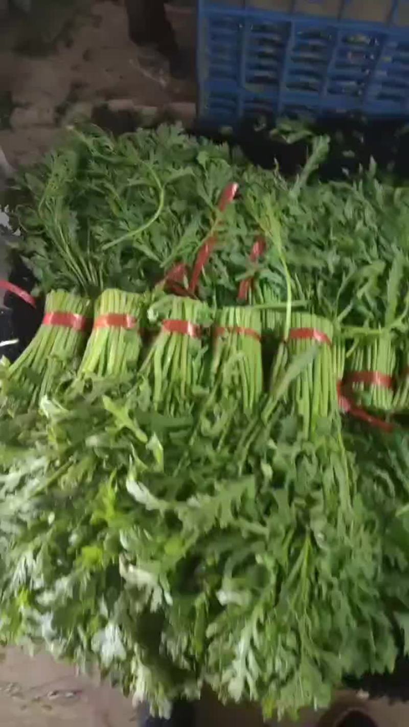 精品茼蒿